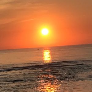 Meet your Posher, Joanne